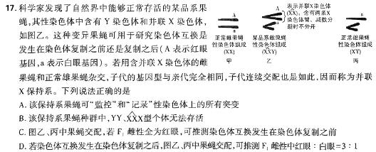 天一大联考 顶尖联盟 2024届高中毕业班第二次考试(1月)生物