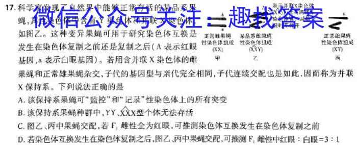 衡水金卷先享题调研卷2024答案(广东专版四数学