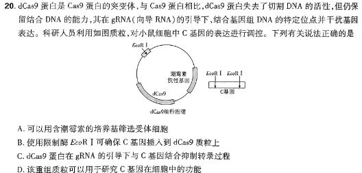 ［独家授权］安徽省2023-2024学年度八年级上学期期末教学质量调研四生物