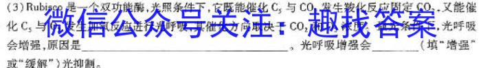 三晋卓越联盟·山西省2023-2024学年高三4月质量检测卷数学