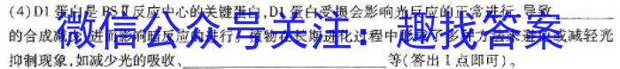 2023-2024学年河南省中招备考试卷(二)数学