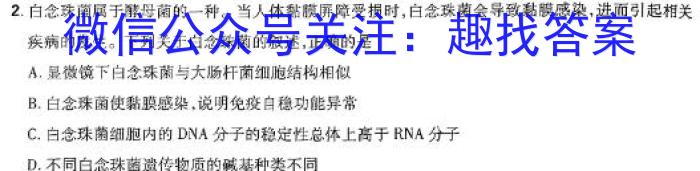 吉林省2023-2024学年度高二下学期月考试卷(242618D)英语