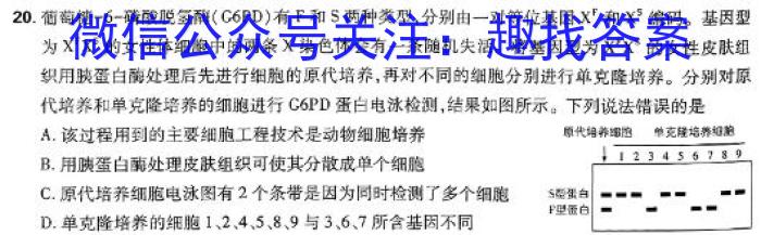 2024年河南省中招考试押题试卷（三）生物学试题答案