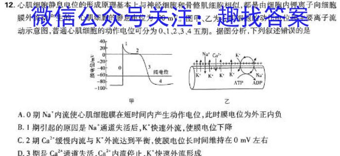 新向标教育