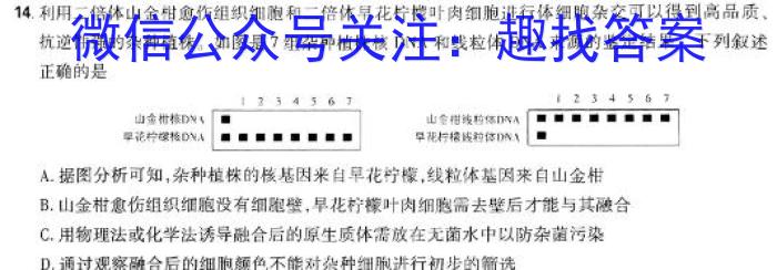 陕西省咸阳市2023-2024学年度高二第一学期期末教学质量检测生物学试题答案