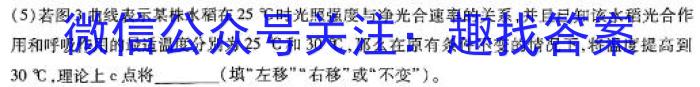 2024年河南省普通高中毕业班高考适应性测试数学