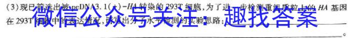 山西省大同市2024-2025学年第一学期七年级开学联考生物学试题答案