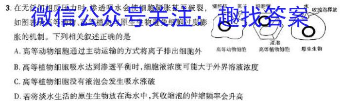 2024-2025学年湖南省高二试卷9月联考(25-18B)生物学试题答案