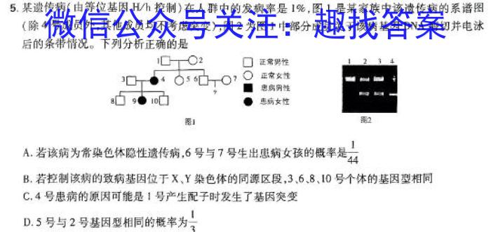 2024年河北省初中毕业班升学文化课模拟考试生物学试题答案