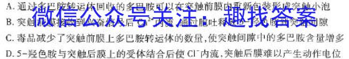 河北省2024届高三学生全过程纵向评价(五)5生物学试题答案