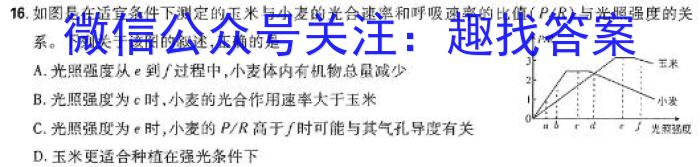 衡水金卷先享题广东省2024届高三2月份大联考数学