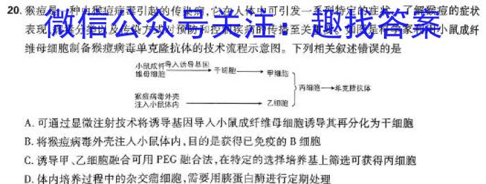 黑龙江2024届高三4月联考模拟检测卷数学