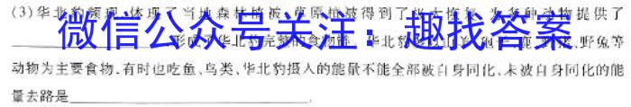 2024年河南省新高考信息卷(一)数学