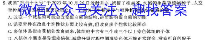 云南省陆良县2023-2024春季学期高二期末考试(24-605B)数学