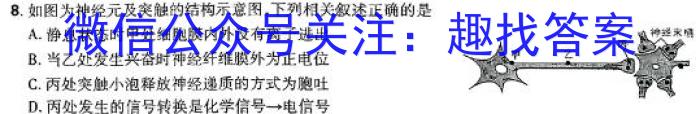 贵州省高二黔南州2023-2024学年度第二学期期末质量监测数学