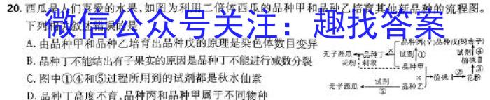 陕西省2023-2024学年高三期末质量监测考试(24-241C)数学