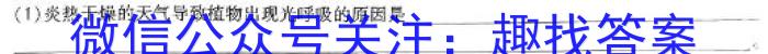 安徽省亳州市蒙城县2023-2024年度第二学期八年级义务教育教学质量检测数学