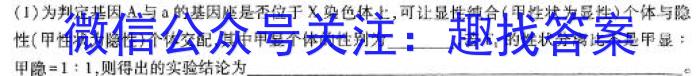 四川省2023~2024学年度上期期末高一年级调研考试(1月)数学