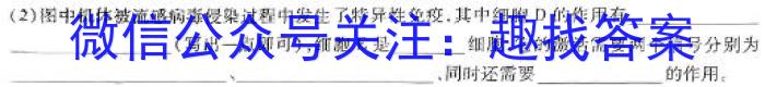 四川省2023~2024学年度上期期末高一年级调研考试(1月)生物学试题答案