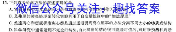 安徽省2024年九年级无标题试卷（4.7）数学