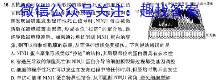 河南省开封市2023-2024学年第一学期九年级调研检测生物学试题答案