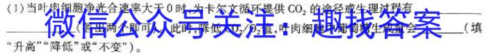陕西省永寿县中学2023~2024学年度高一第二学期期中考试(24565A)数学