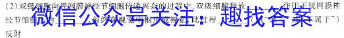 2024年普通高等学校招生全国统一考试压轴卷(T8联盟)(二)2数学