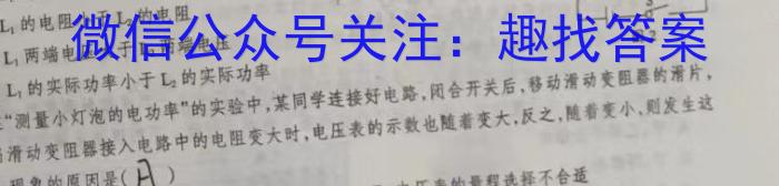 湖南省2024年春季高一年级入学暨寒假作业检测联考物理试卷答案