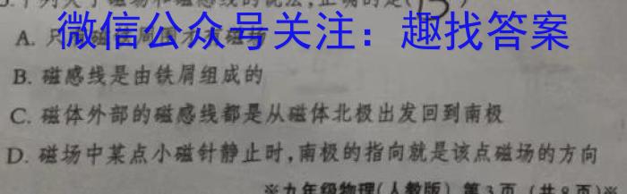 贵州省2024届高三适应性考试(2024年4月)物理`