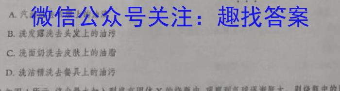 山西省汾阳市2023-2024学年度九年级第一学期期末教学质量监测(二)2化学