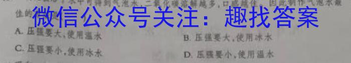 山西省大同一中南校2024-2025学年第一学期八年级阶段性综合素养评价（二）化学