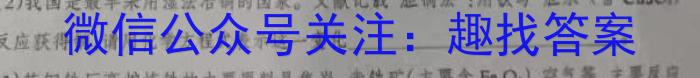 河南省南阳市唐河县2024年中考模拟试卷（二）化学