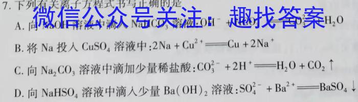 2024届河南省九年级第七届名校联盟考(CZ114c)化学