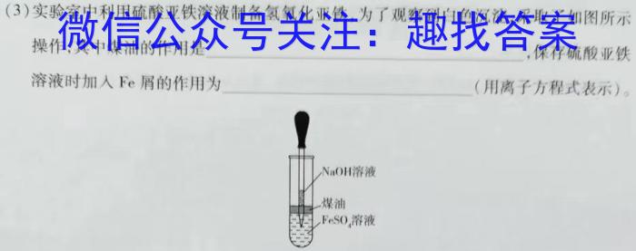 q江西省新余市某校2023-2024初三年级下学期开学考试化学