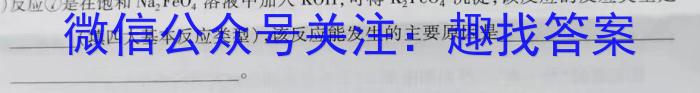 2024年陕西省初中学业水平考试压轴卷数学