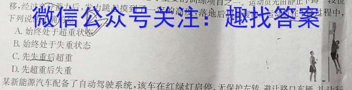 ［分段训练］江西省2025届八年级训练（八）期末物理试题答案