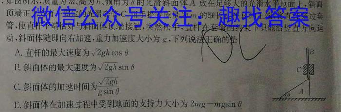 天一大联考 亳州市普通高中2023-2024学年度第一学期高二期末质量检测物理试卷答案