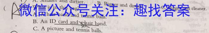 天一大联考 2023-2024学年安徽高二(下)期末质量检测英语试卷答案