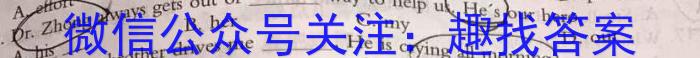 陕西省2023-2024高二模拟测试卷(△)英语