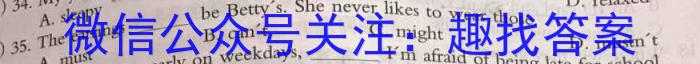 皖智教育 安徽第一卷·省城名校2024年中考最后三模(三)3英语