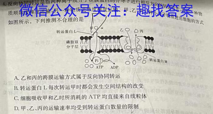 【菏泽一模】2024年高三一模考试生物学试题答案