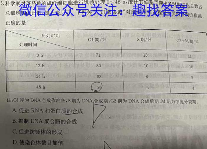 ［新乡三模］新乡市2023-2024学年高三第三次模拟考试数学