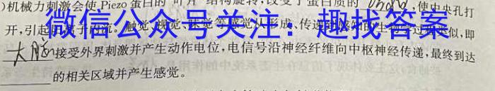 文博志鸿 河南省2023-2024学年八年级第二学期期末教学质量检测生物学试题答案