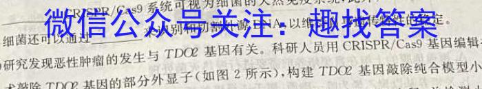 辽宁省2023-2024学年度高三统一考试第一次模拟试题数学