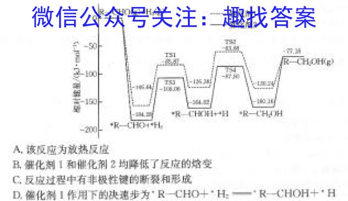 沧州市2023-2024学年高一第二学期期末教学质量监测数学