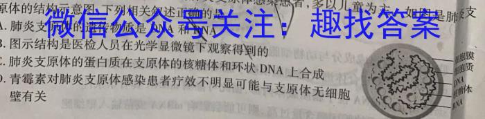 河北省2024年高三5月模拟(二)生物学试题答案