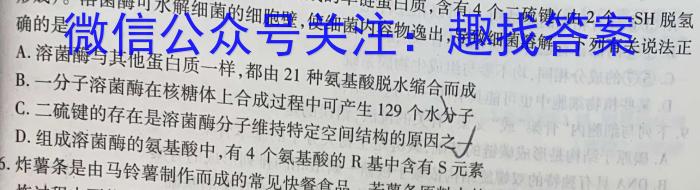 巴蜀中学2024届高考适应性月考卷（八）数学h