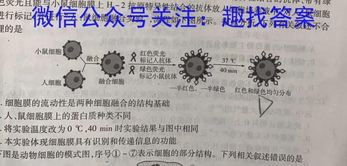 江西省2024届七年级第八次阶段适应性评估 R-PGZX A JX生物学试题答案