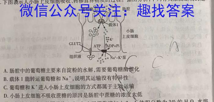 江西省上饶市广丰区2023-2024学年高一下学期名校考试联盟四数学