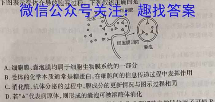 河南省2023-2024学年九年级考前模拟试卷生物学试题答案